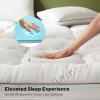imageBEDLORE Queen Mattress Topper4 Inch Dual Layer 2quot Gel Memory Foam  2quot Plush Pillow Top Mattress Pad Cover Pressure Relief ampamp Back Pain Support Fluffy ampamp Breathable MediumFirmDark GrayWhite