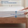 imageBEDLORE Waterproof Mattress Protector Twin Size Noiseless Mattress Pad with Deep Pocket 6quot15quot Depth Soft Breathable Bed Mattress Cover Washable for Home Bedroom Hotel Navy BlueWhite