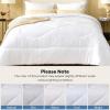 imageBEDLORE Comforters Twin Size Duvet Insert All Season Down Alternative Twin Comforter UltraSoft Quilted Bed Comforter with Corner Tabs Machine Washable Grey 8868 InchesWhite