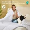 imageBEDLORE Comforters Twin Size Duvet Insert All Season Down Alternative Twin Comforter UltraSoft Quilted Bed Comforter with Corner Tabs Machine Washable Grey 8868 InchesWhite