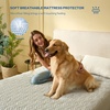 image:imageBEDLORE 2 Pack Waterproof Mattress Protector Queen Size Mattress Pad with Deep Pocket 618 Depth Soft Breathable Bed Mattress Cover for Home Bedroom Hotel Light GrayLight Gray
