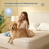 image:imageBEDLORE 2 Pack Waterproof Mattress Protector Queen Size Mattress Pad with Deep Pocket 618 Depth Soft Breathable Bed Mattress Cover for Home Bedroom Hotel Light GrayBeige
