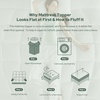 image:imageBEDLORE Queen Mattress Topper Ultra Soft Tencel Blend Pillow Top Mattress Pad for Back Pain Relief 800 GSM Extra Thick and Breathable Cooling Mattress Cover with 618 Inch Deep Pocket WhiteWhite
