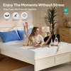 image:imageBEDLORE Queen Size Mattress Protector Waterproof Noiseless Mattress Cover with Stretchable Pockets for 615 inches Mattress Soft Breathable Mattress Pad for College Dorm BeigeWhite