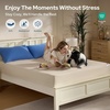 image:imageBEDLORE Queen Size Mattress Protector Waterproof Noiseless Mattress Cover with Stretchable Pockets for 615 inches Mattress Soft Breathable Mattress Pad for College Dorm BeigeBeige