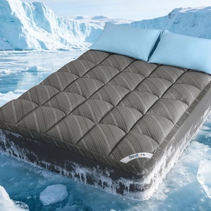 image:imageBedlore Queen Cooling Mattress Topper for Hot Sleepers Soft Fluffy Pillow Top Mattress Pad Breathable Noiseless for Back Pain Relief Washable Deep Pocket Fits 618 GreyGray
