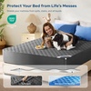 image:imageBEDLORE 2 Pack Waterproof Mattress Protector Twin Size Mattress Pad  Deep Pocket Fitted for 615 Soft Breathable DirtProof Single Bed Mattress Cover Washable for Bedroom Dorm RoomBeigeGray