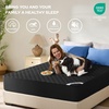 image:imageBEDLORE 2 Pack Waterproof Mattress Protector Twin Size Mattress Pad  Deep Pocket Fitted for 615 Soft Breathable DirtProof Single Bed Mattress Cover Washable for Bedroom Dorm RoomBeigeBlack