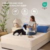 image:imageBEDLORE 2 Pack Waterproof Mattress Protector Twin Size Mattress Pad  Deep Pocket Fitted for 615 Soft Breathable DirtProof Single Bed Mattress Cover Washable for Bedroom Dorm RoomBeigeBeige
