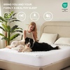 image:imageBEDLORE Waterproof Twin XL Mattress Protector Deep Pocket College Dorm  Soft Noiseless Breathable Bed Mattress Cover Pad Fits 615 Inch Deep Mattresses Ideal for Home Bedroom Hotel BeigeWhite